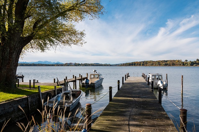 一品这些年 一品这些年