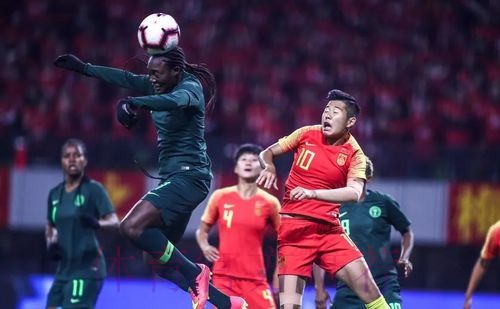 贾秀全：玫瑰绽放需要几代人努力，我一个人完成不了拼图